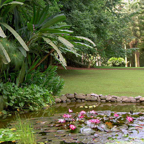 Jardín Botánico Francisco Javier Clavijero 